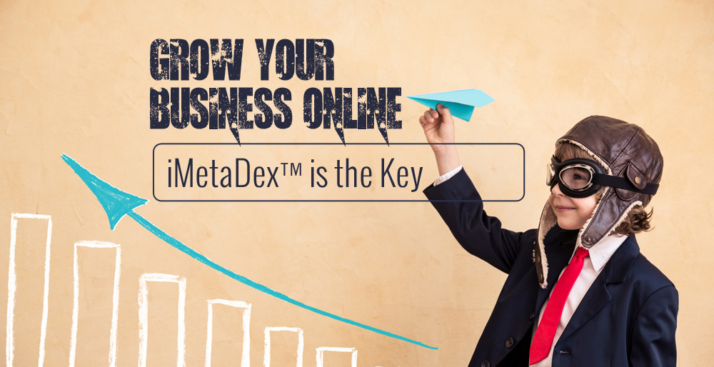 11The Benefits of iMetaDex™ – Grow Your Business with 3 Steps